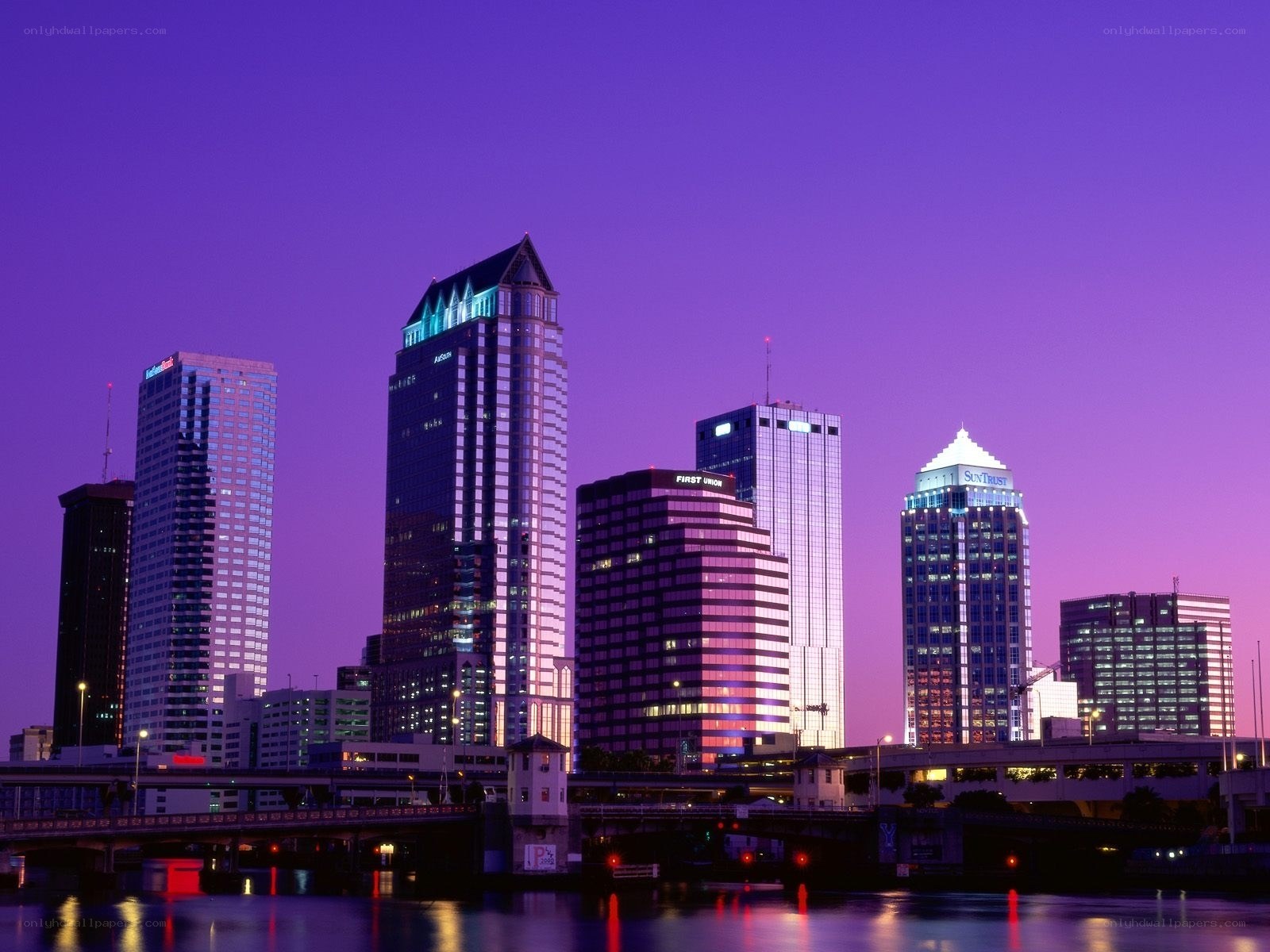 Tampa skyline at dusk