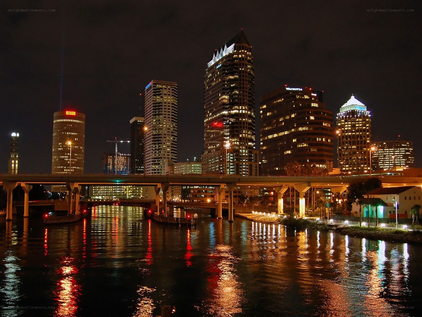 Tampa skyline at night