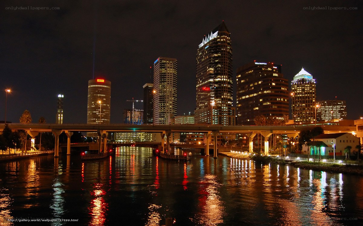 Tampa skyline at night