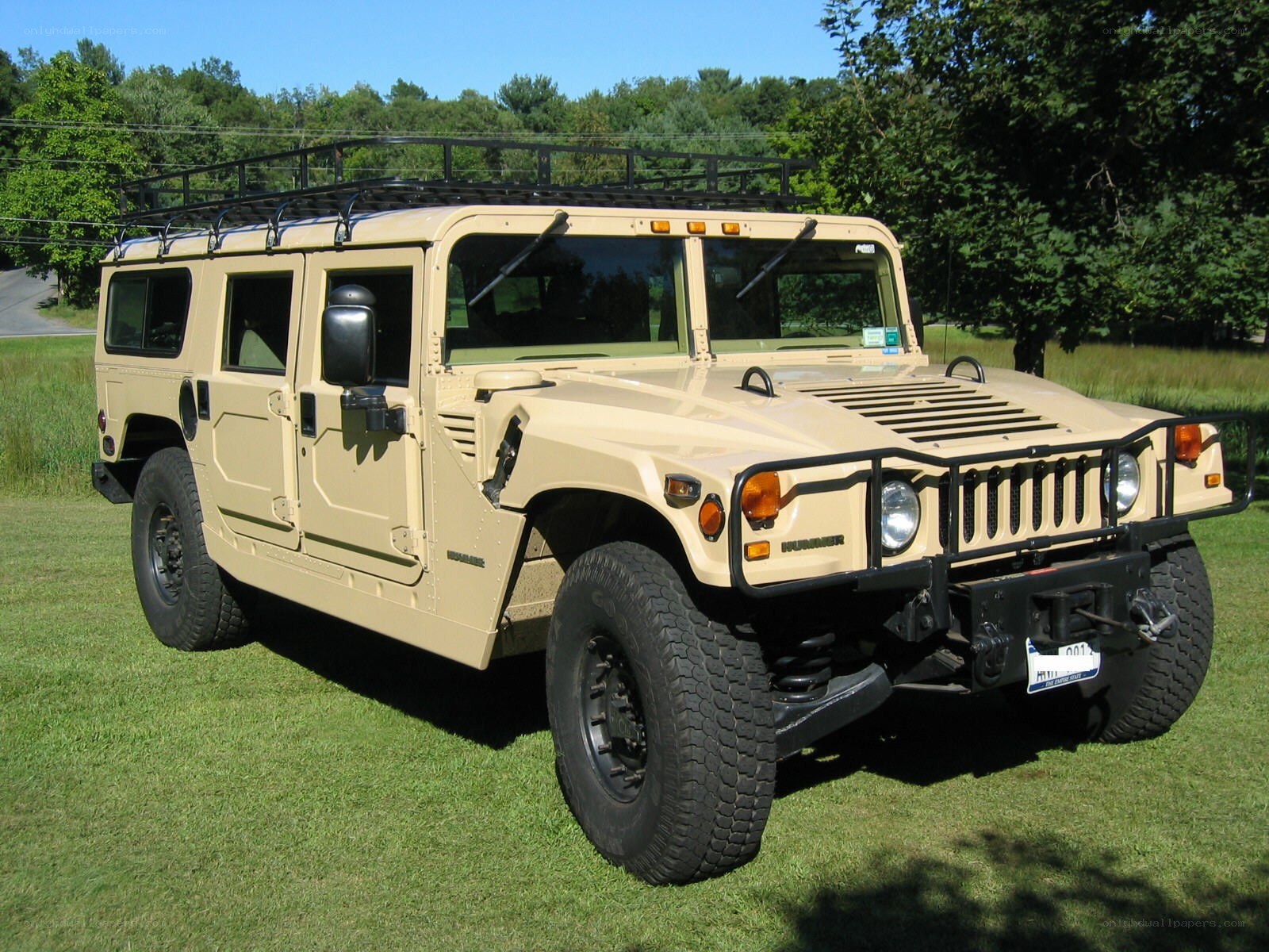 Tan Humvee on grass