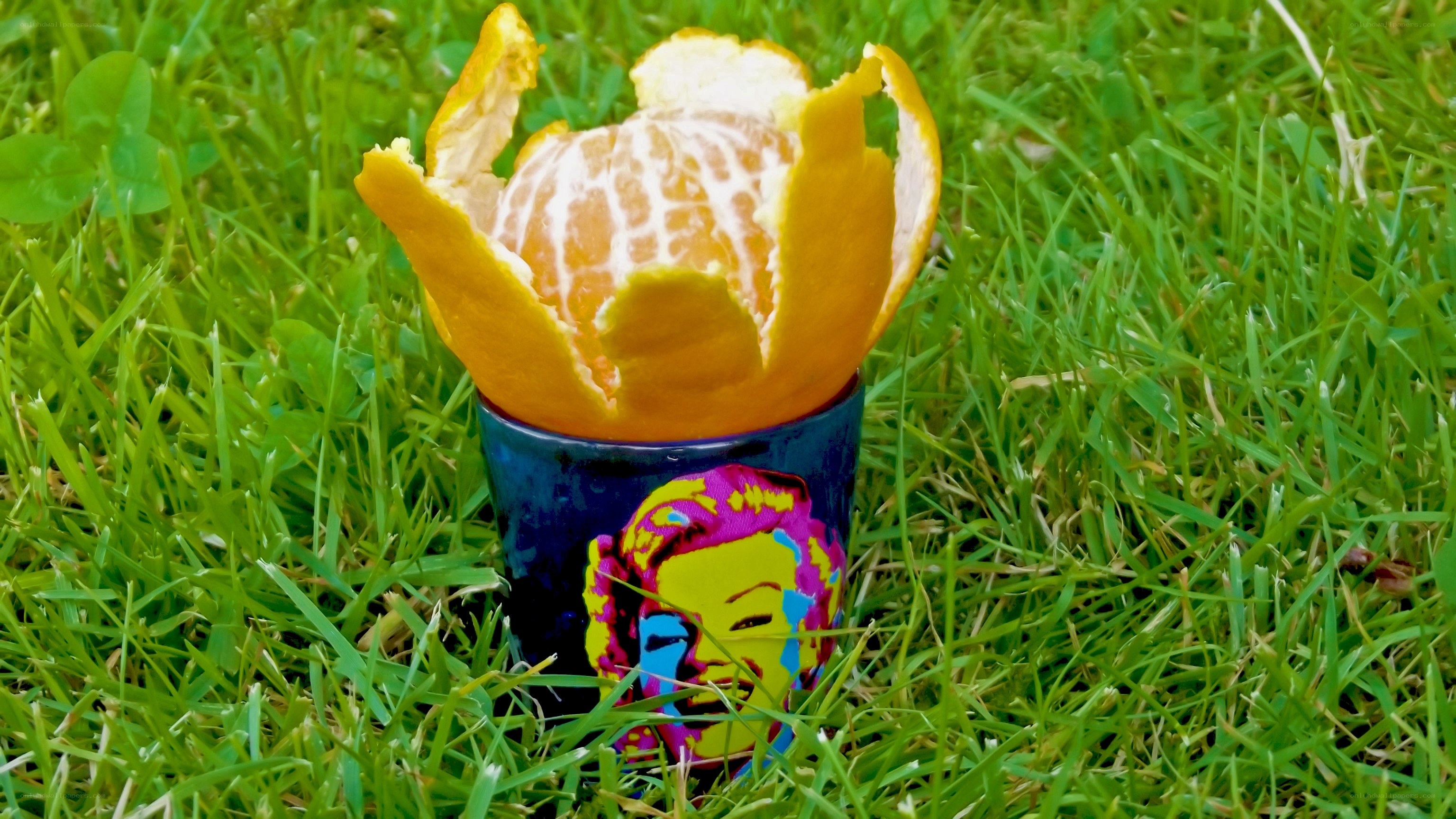 tangerine in a cup on grass