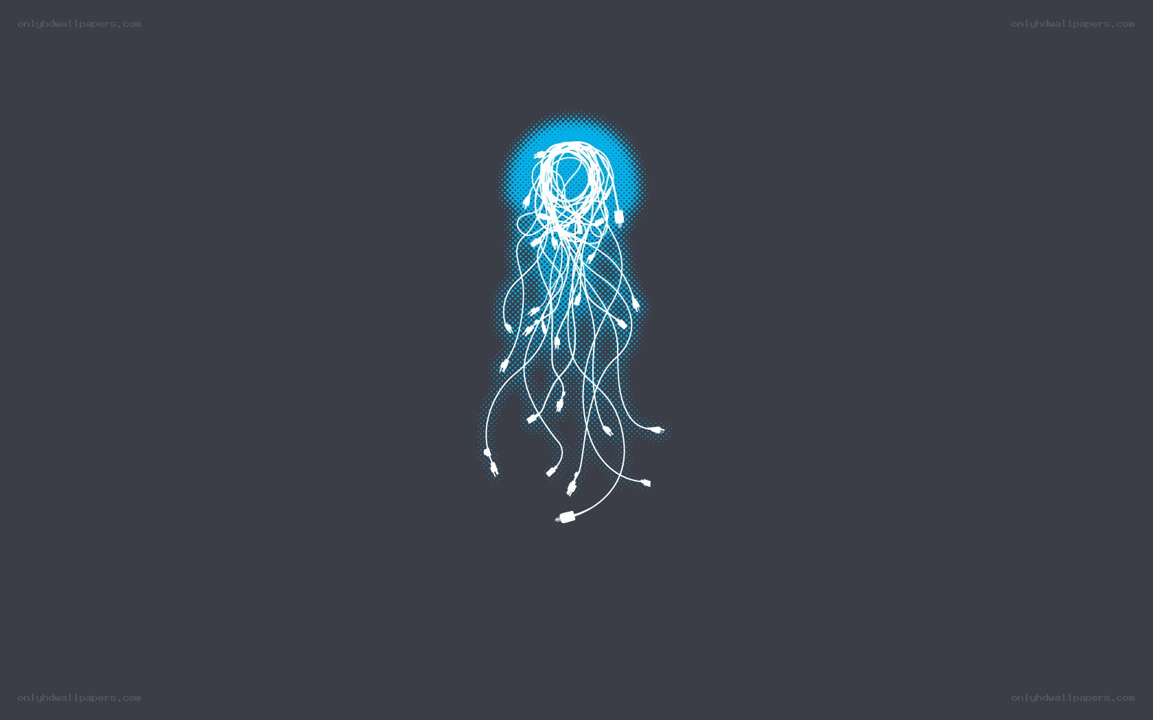 tangled cables jellyfish