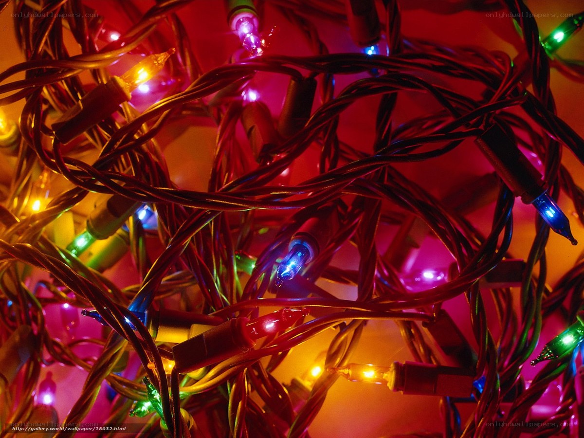 tangled holiday lights