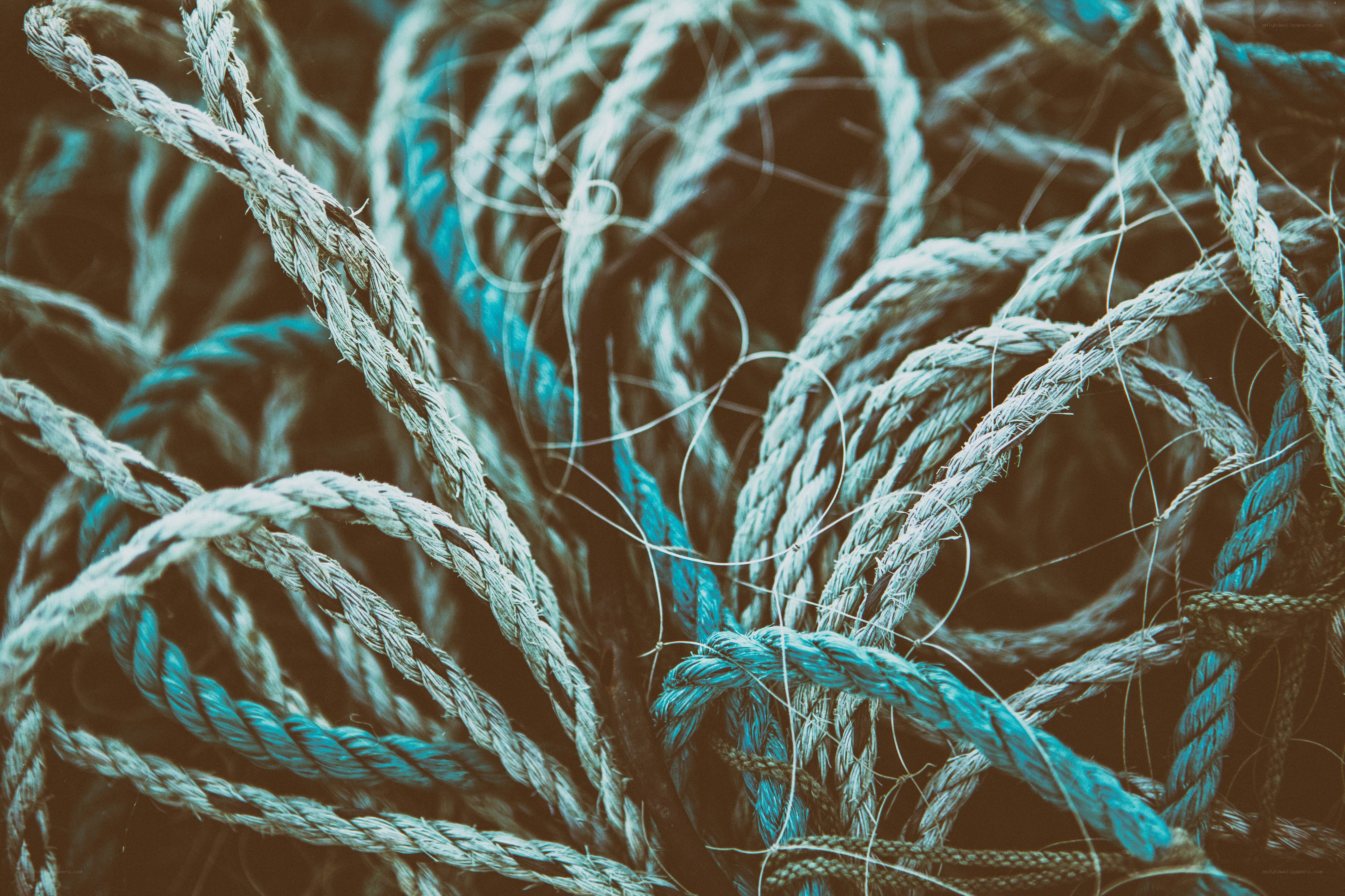 tangled ropes in close-up