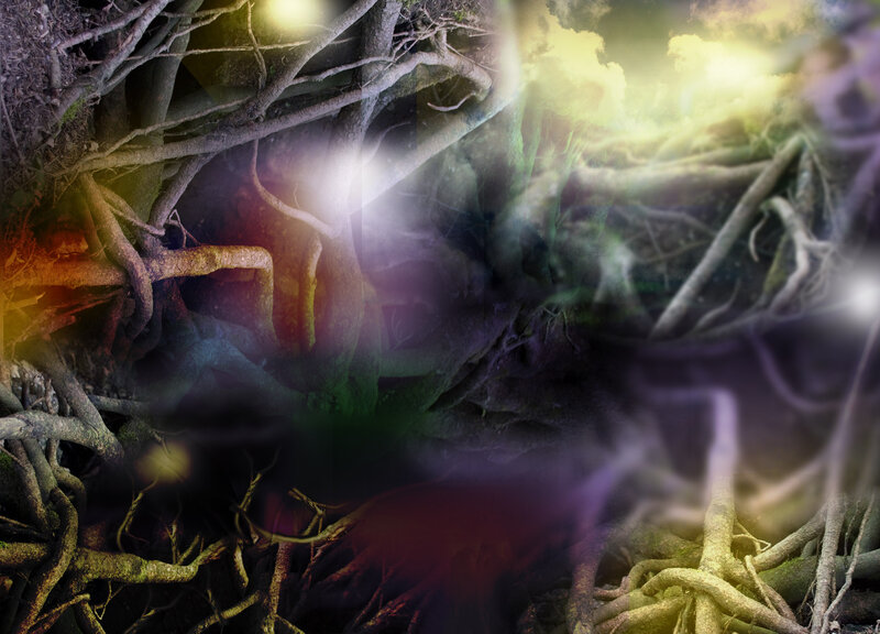 Tangled Tree Roots — Brown
