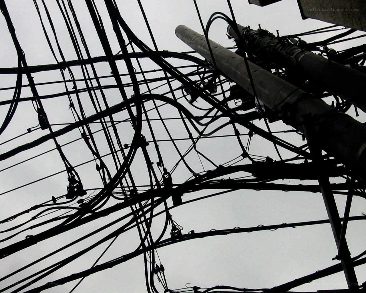 tangled utility wires