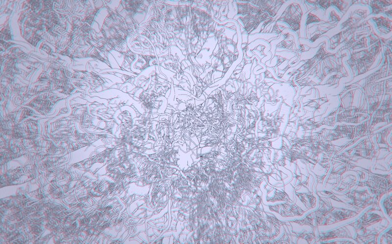 Tangled White Lines
