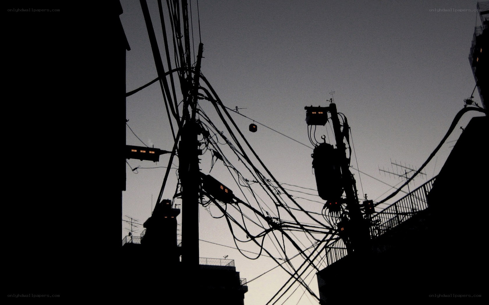 tangled wires at dusk