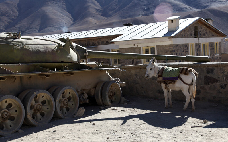 Tank and Donkey