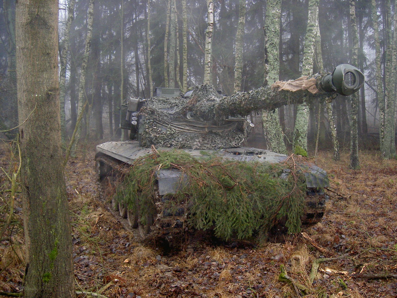 Tank camouflaged in forest