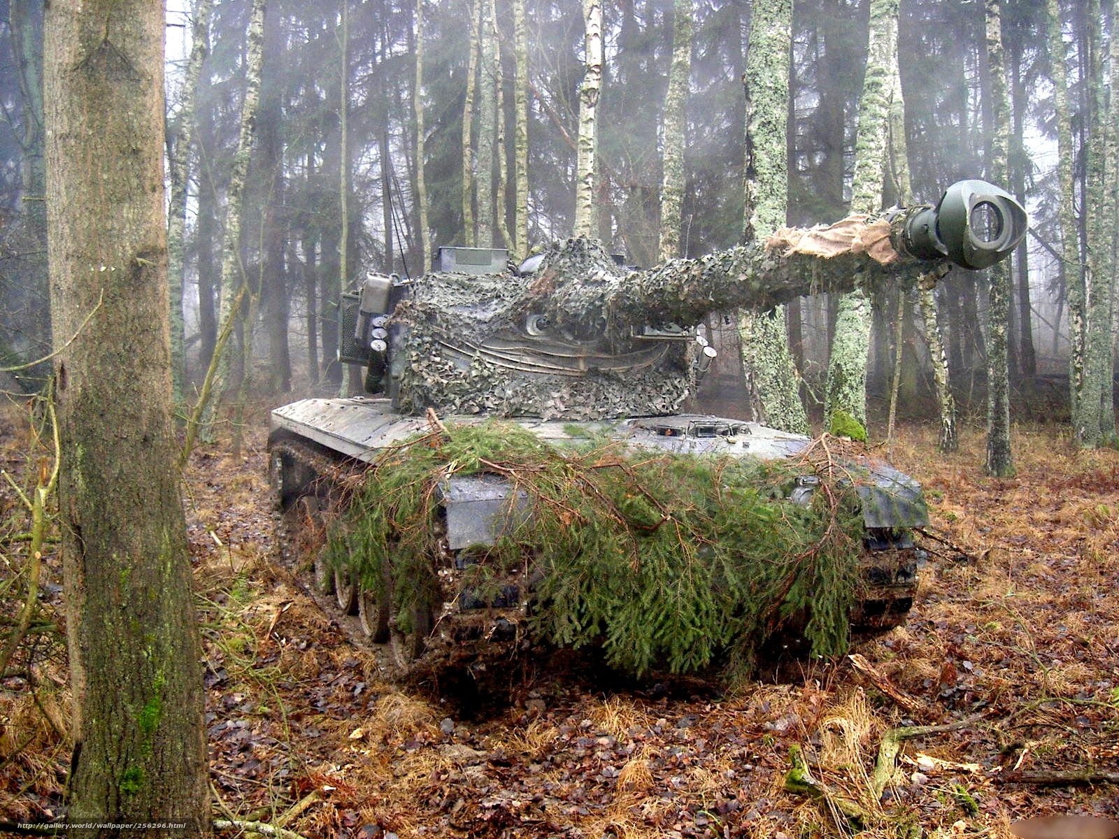 Tank camouflaged in forest