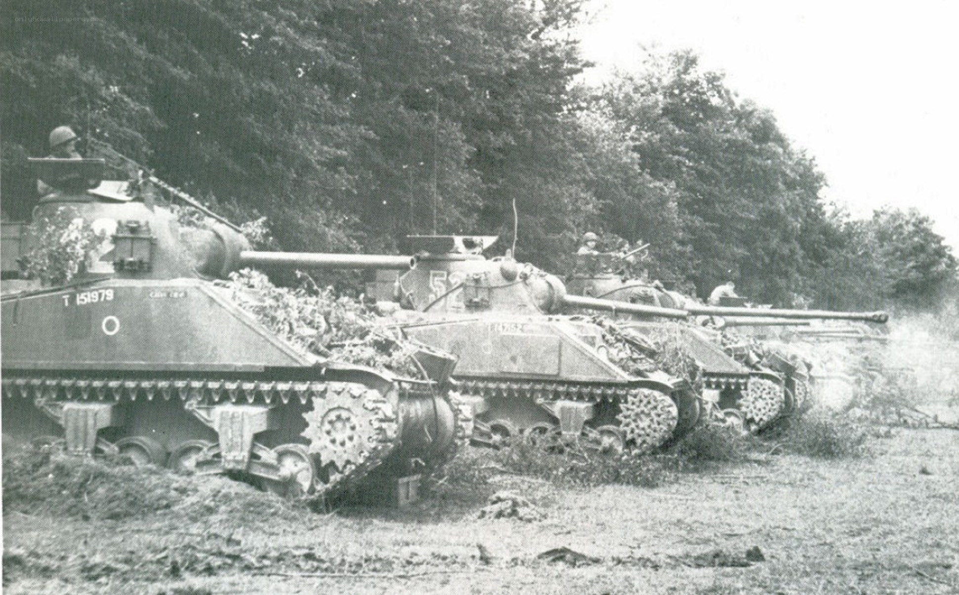 Tank convoy in forest