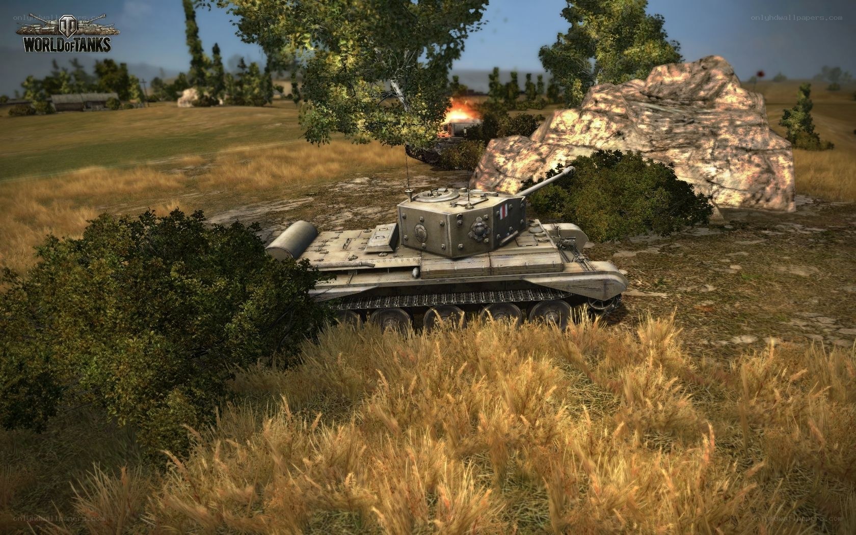 Tank in a field