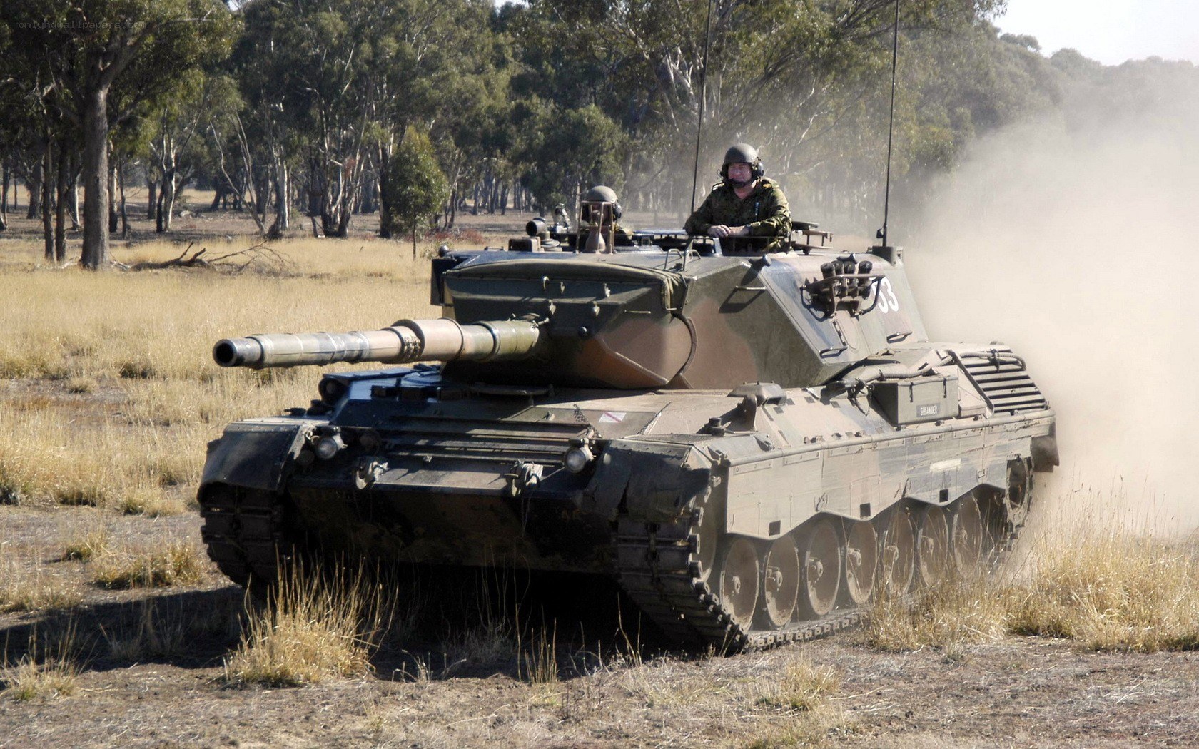 Tank in a field