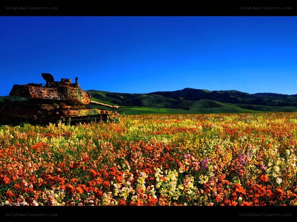 Tank in a flower field