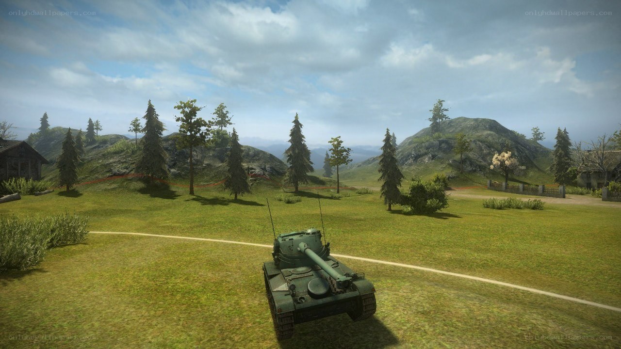 tank in a grassy field
