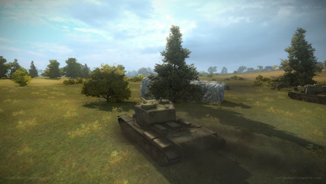 Tank in a grassy field