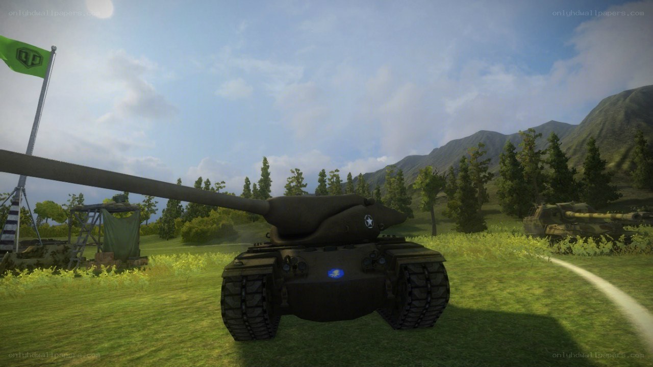 tank in a grassy field