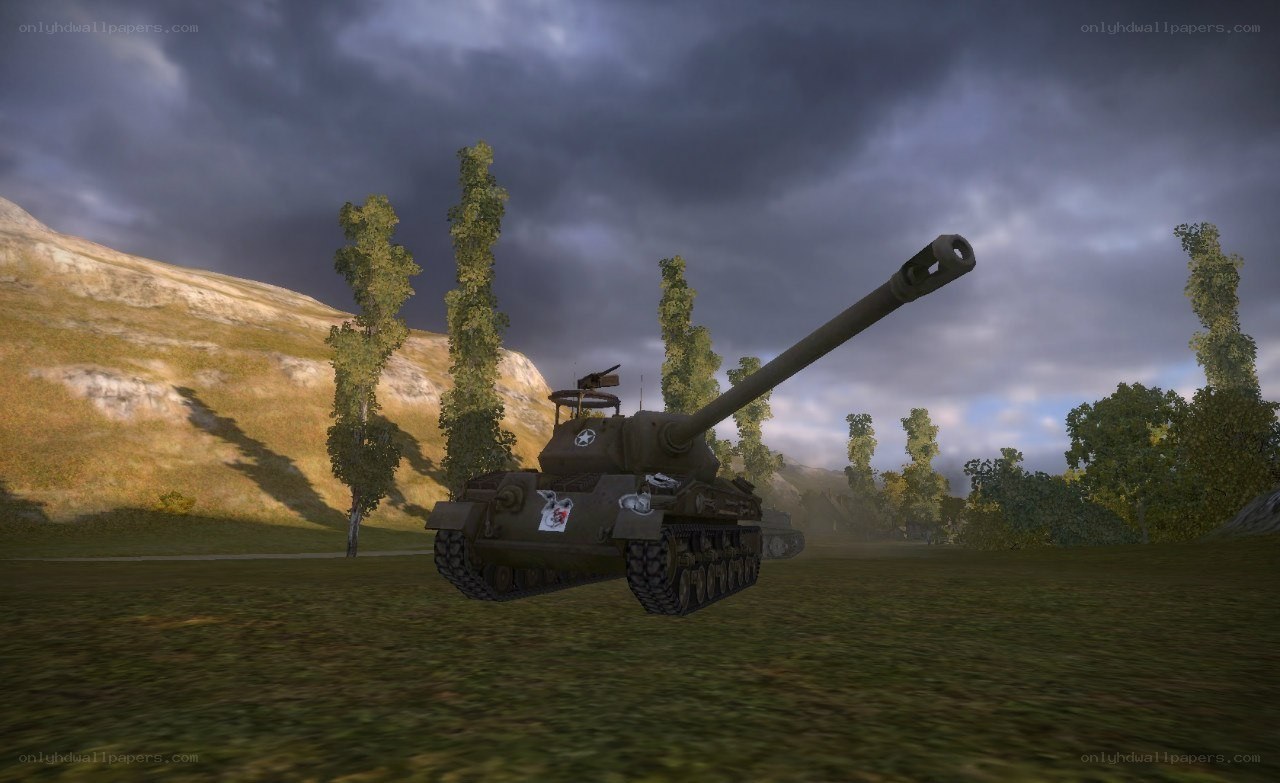 tank in a grassy field