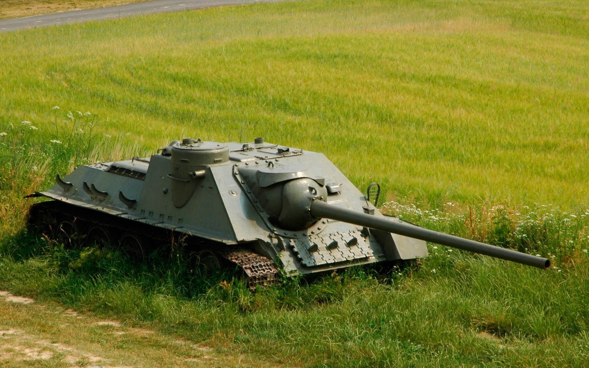 Tank in a grassy field