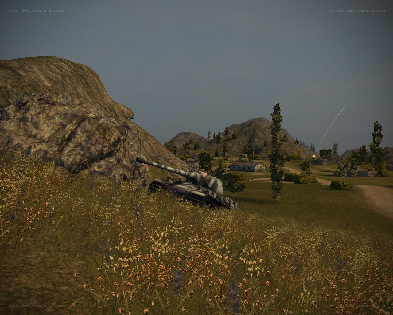 Tank in a grassy field