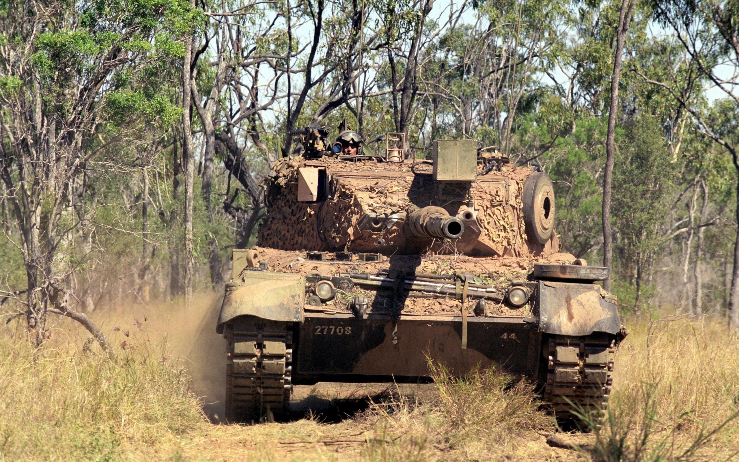 Tank in forest terrain