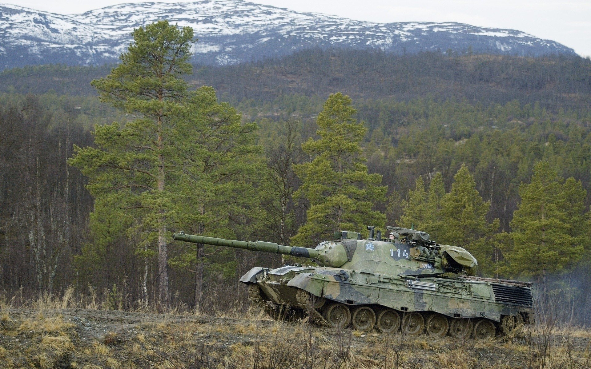 Tank in forested mountain area