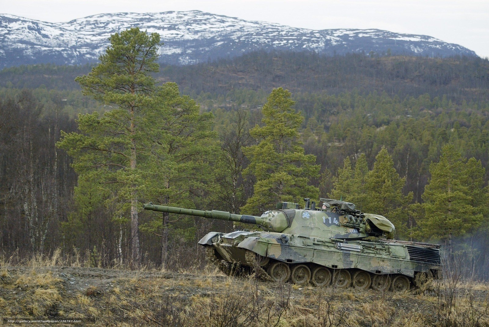 Tank in forested mountain landscape