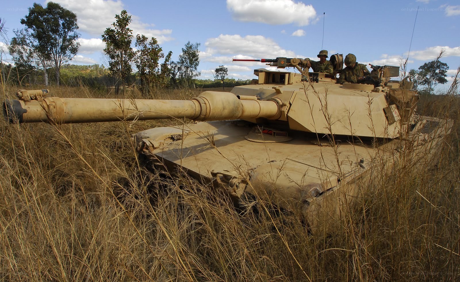 tank in grassy field