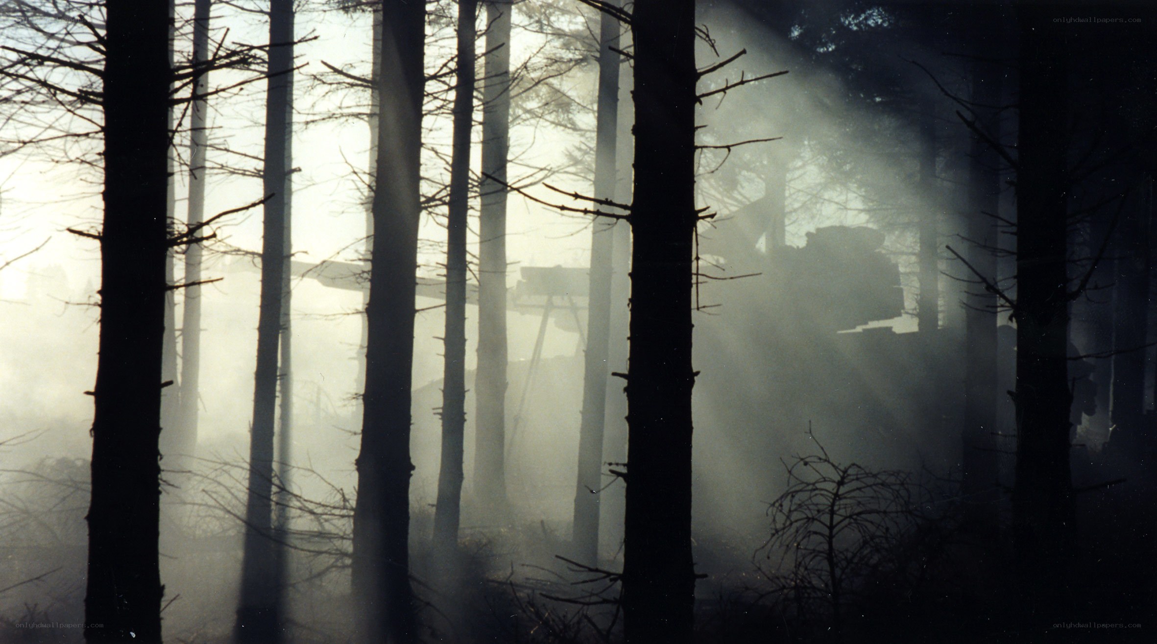 Tank in misty forest