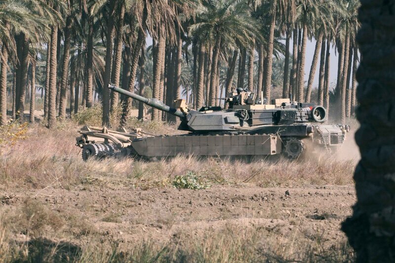 Tank in palm grove