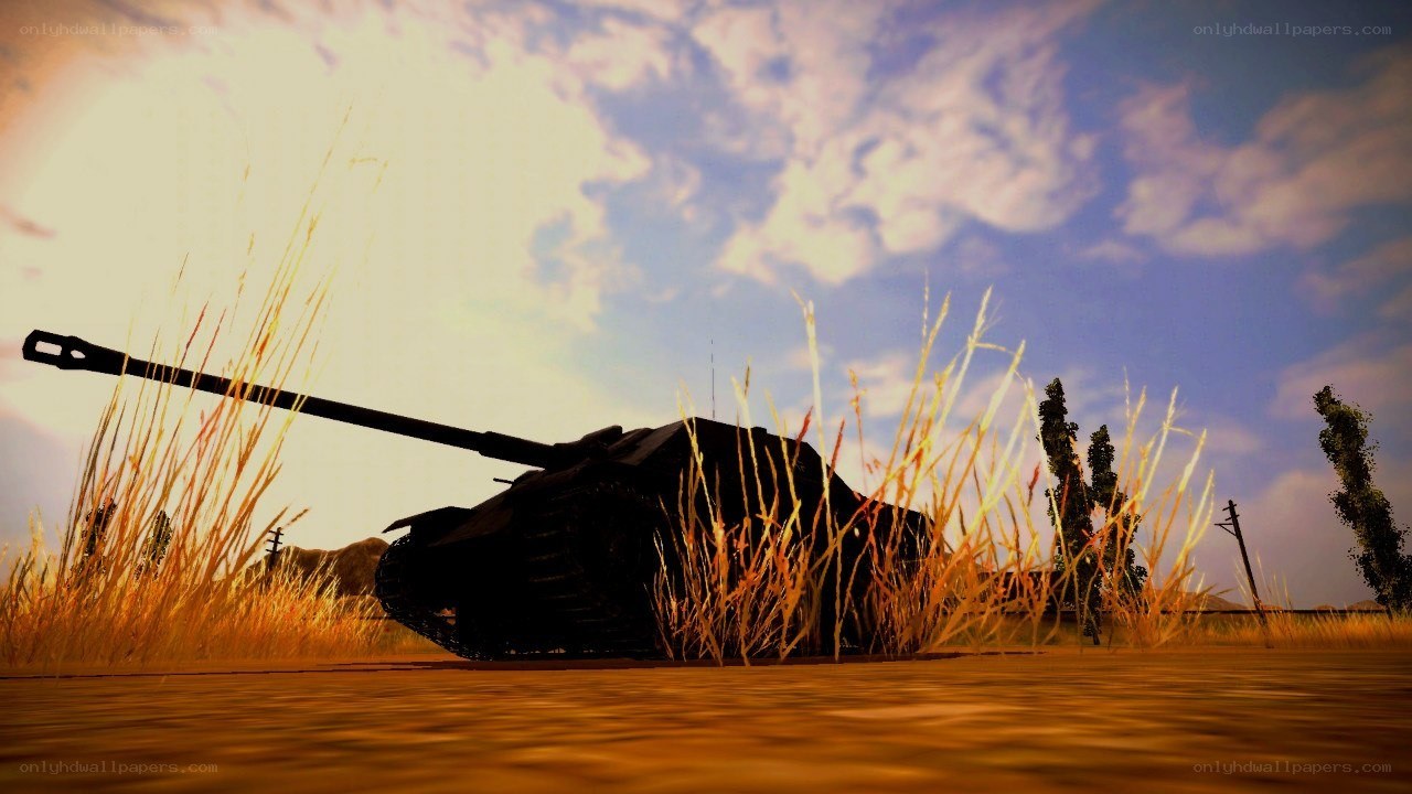 Tank in tall grass at sunset