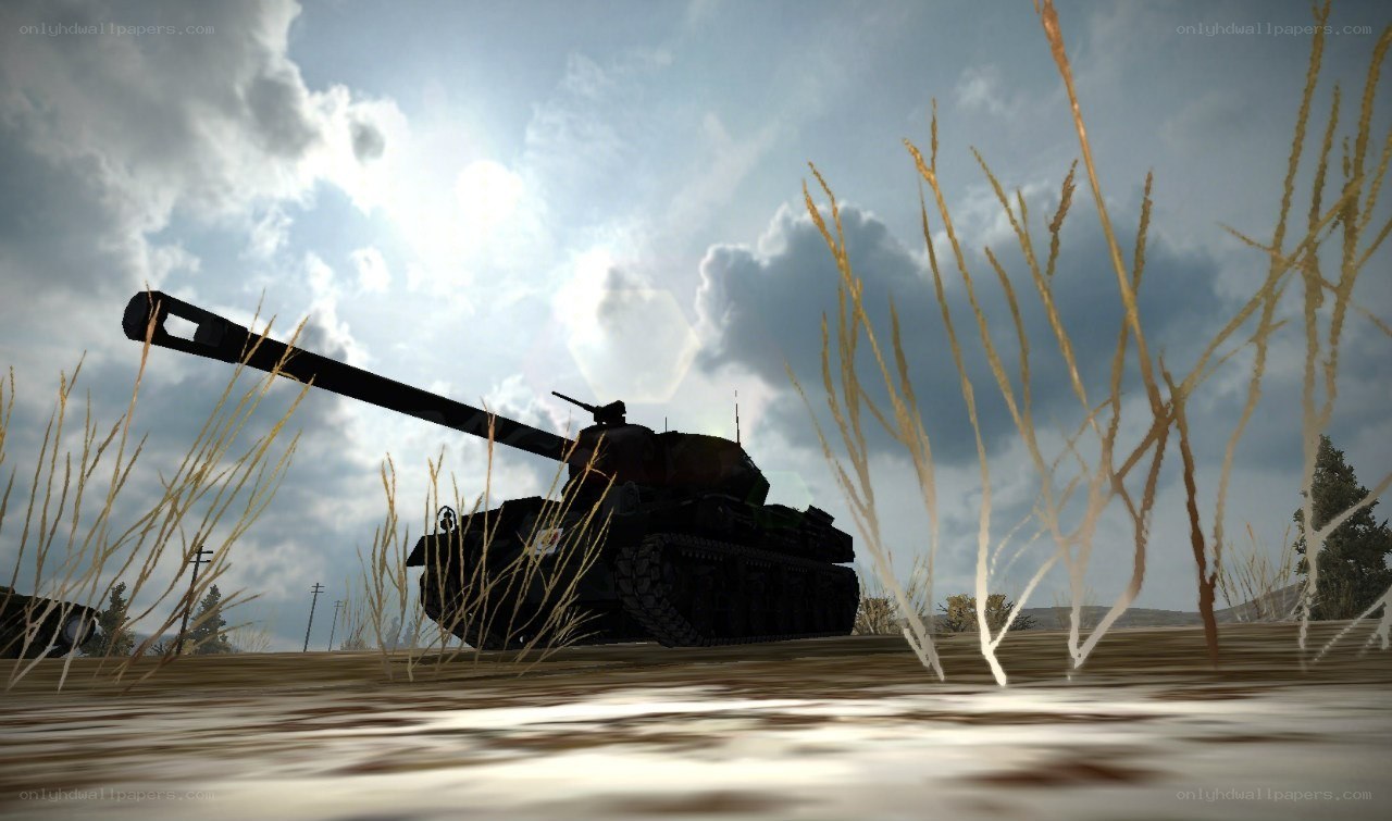 tank in tall grass