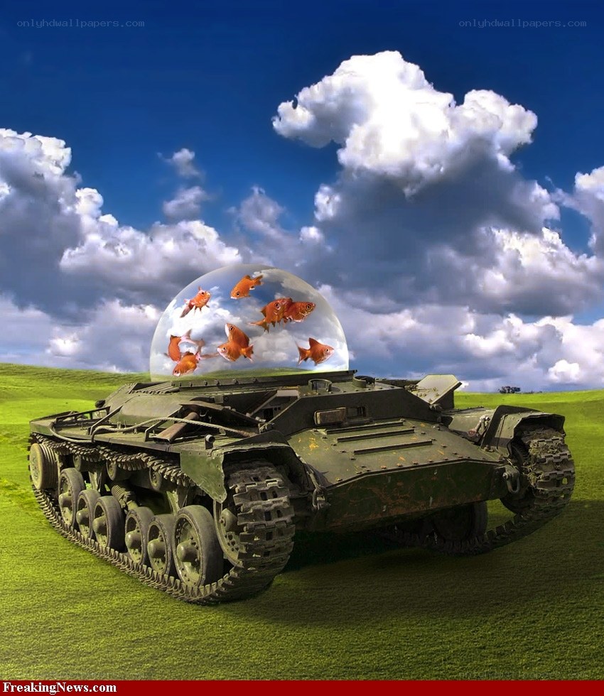 Tank with goldfish dome