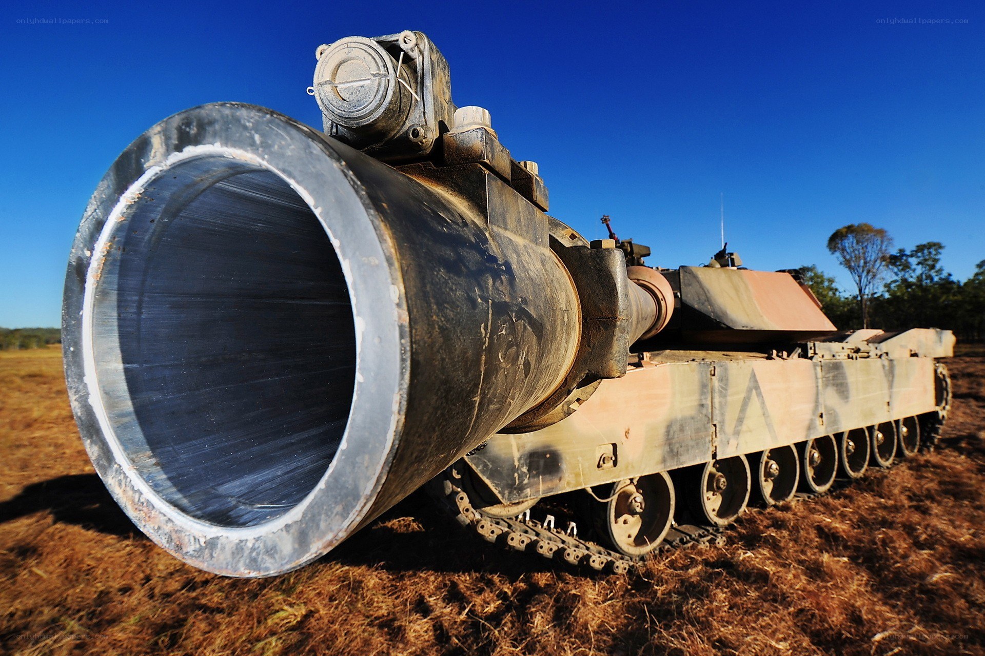 Tank with large cannon muzzle