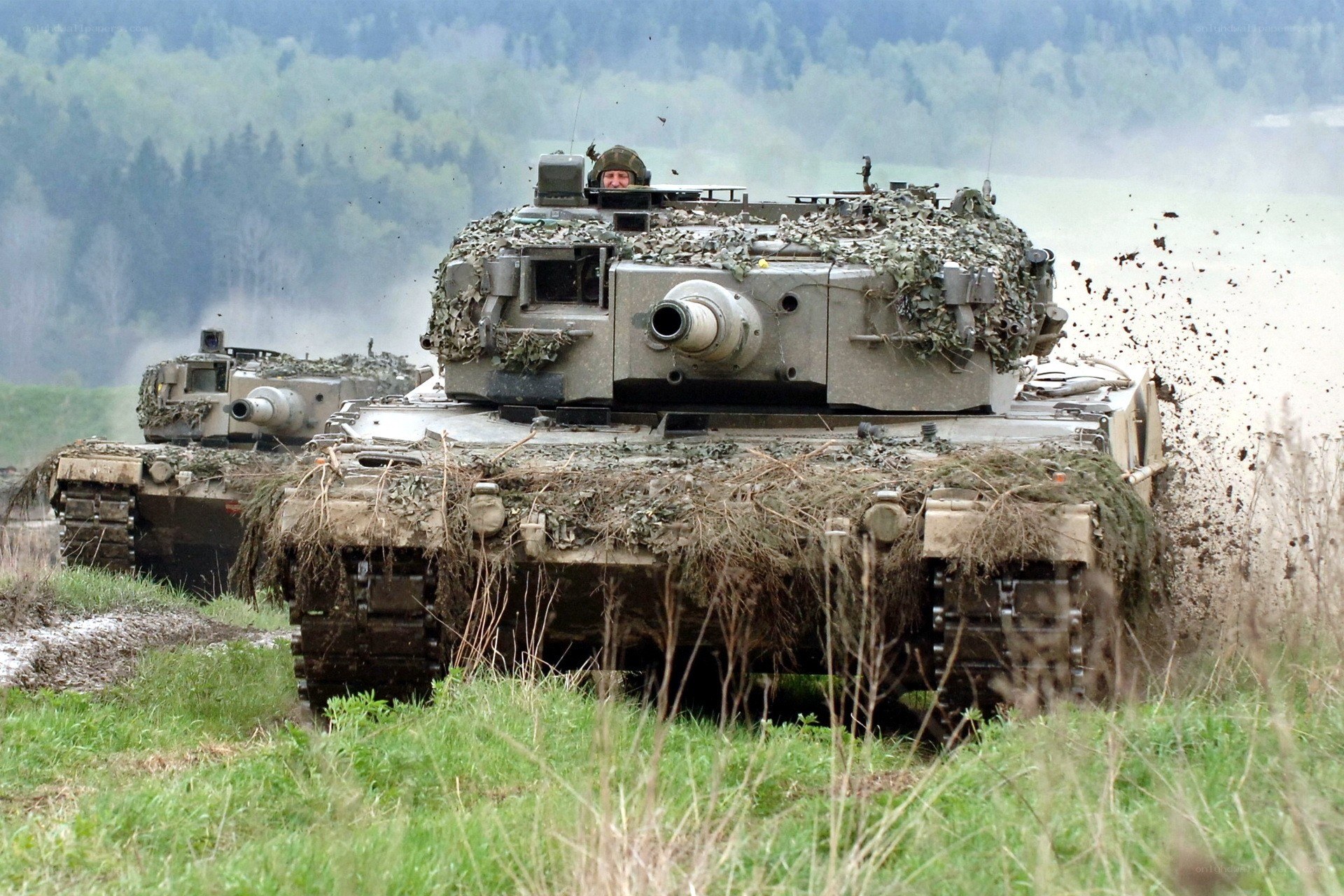 Tanks in a field