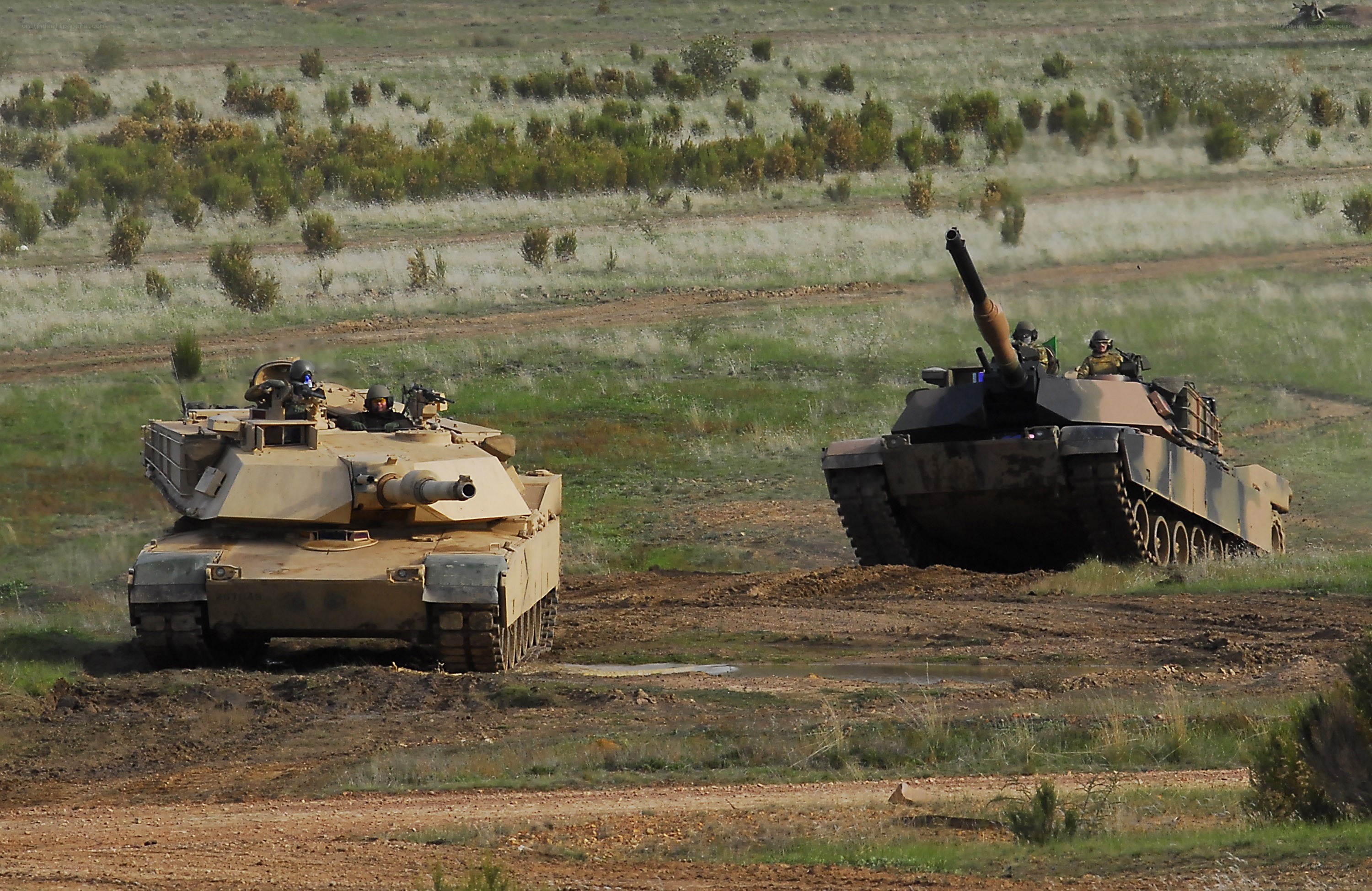 Tanks in a field