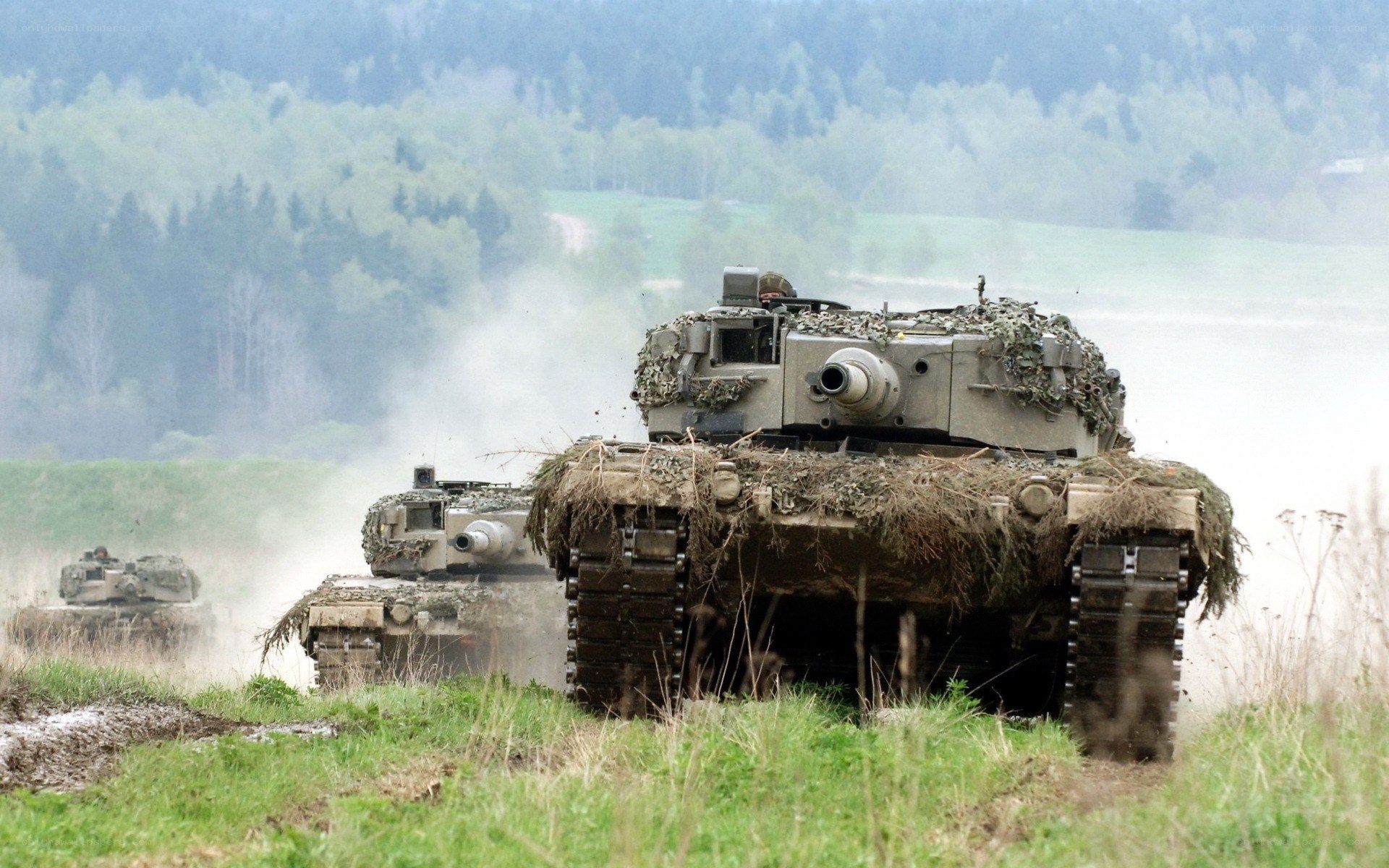 Tanks in a field