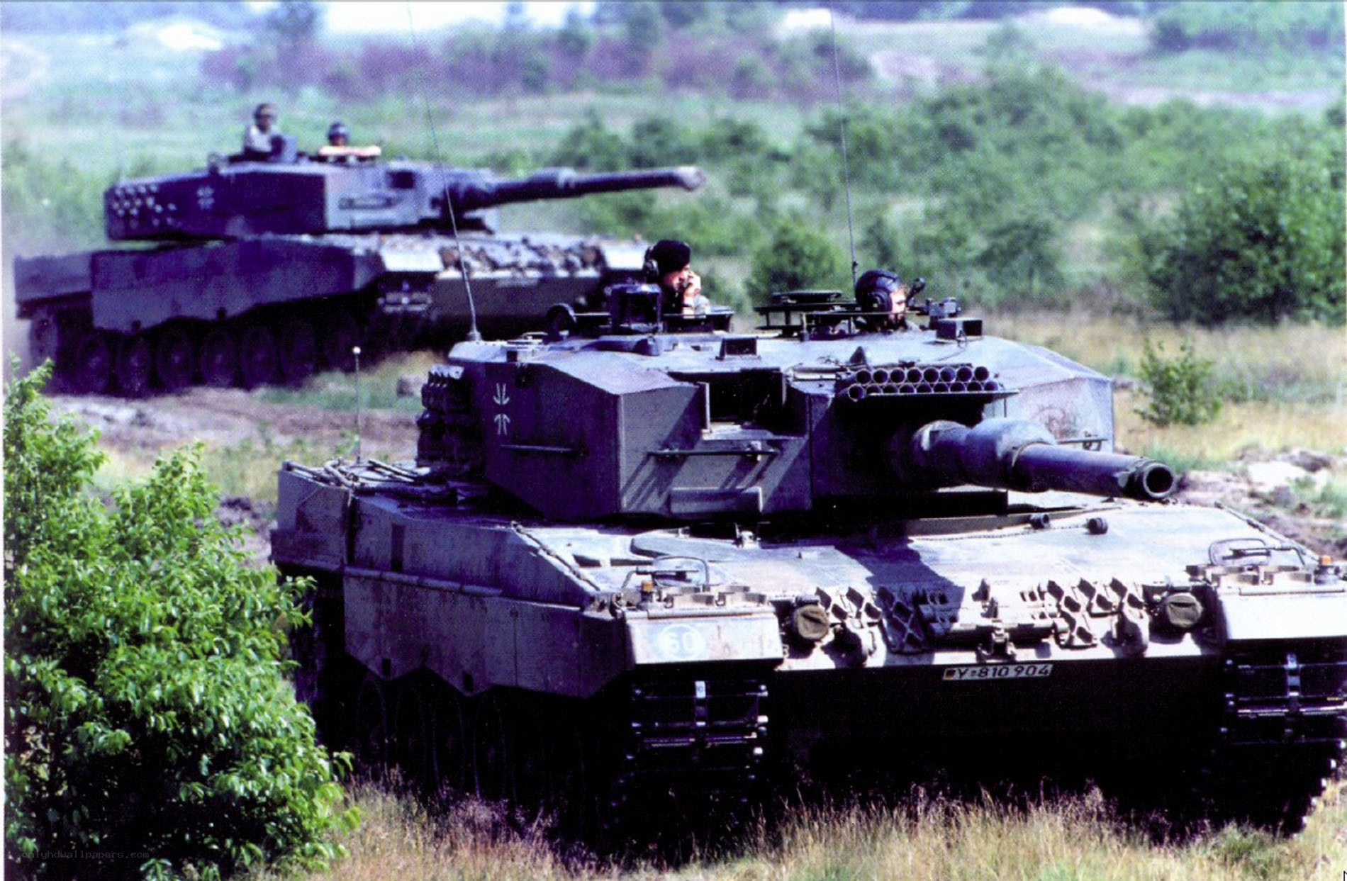 Tanks in a field