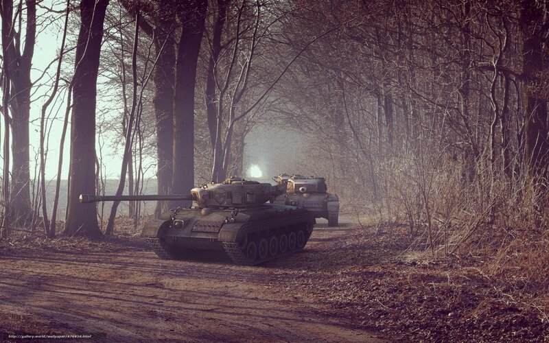 Tanks in a forest