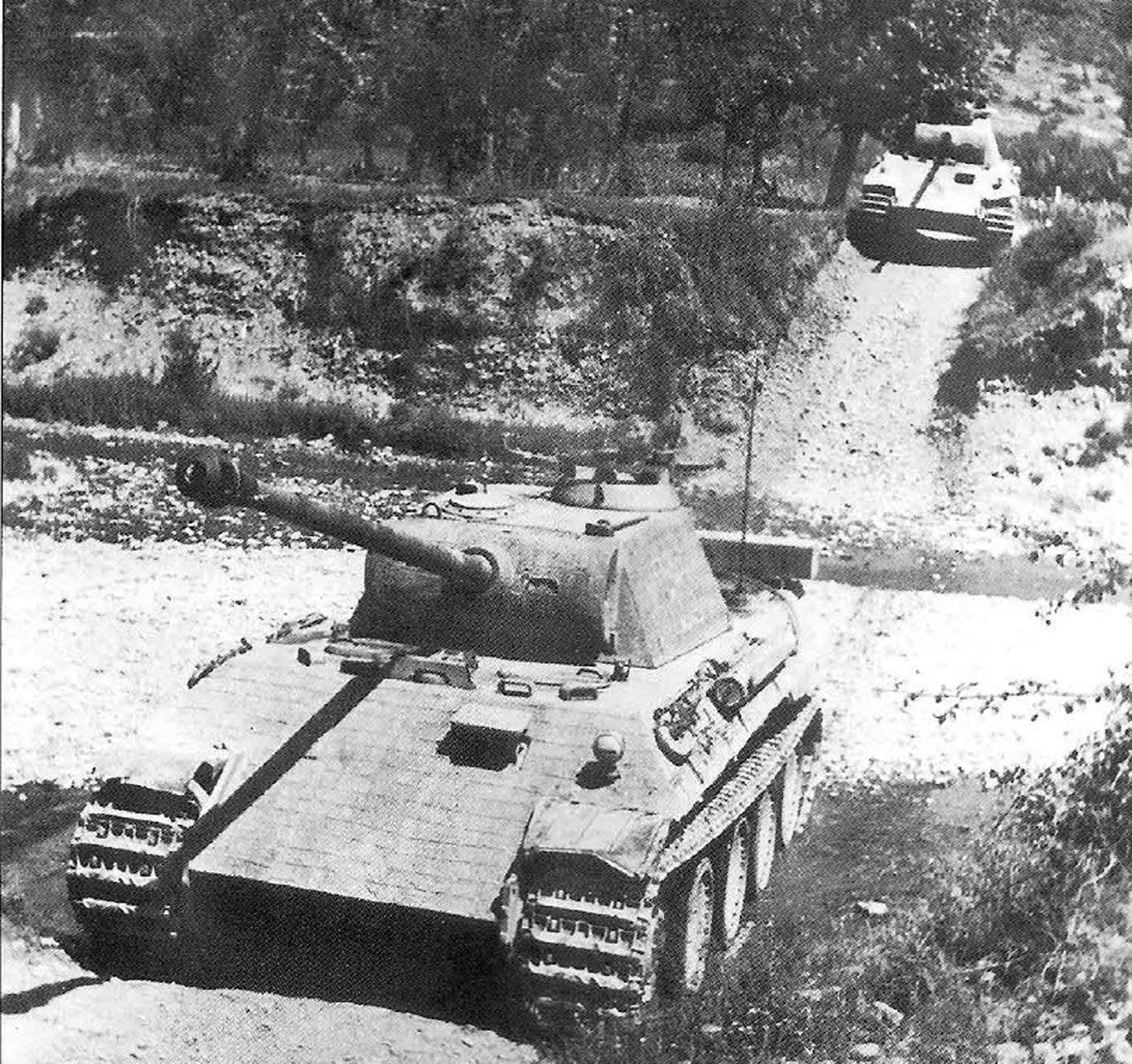 Tanks in a forested area
