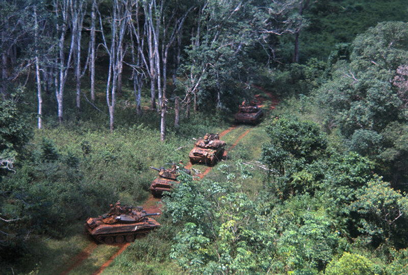 Tanks in jungle terrain