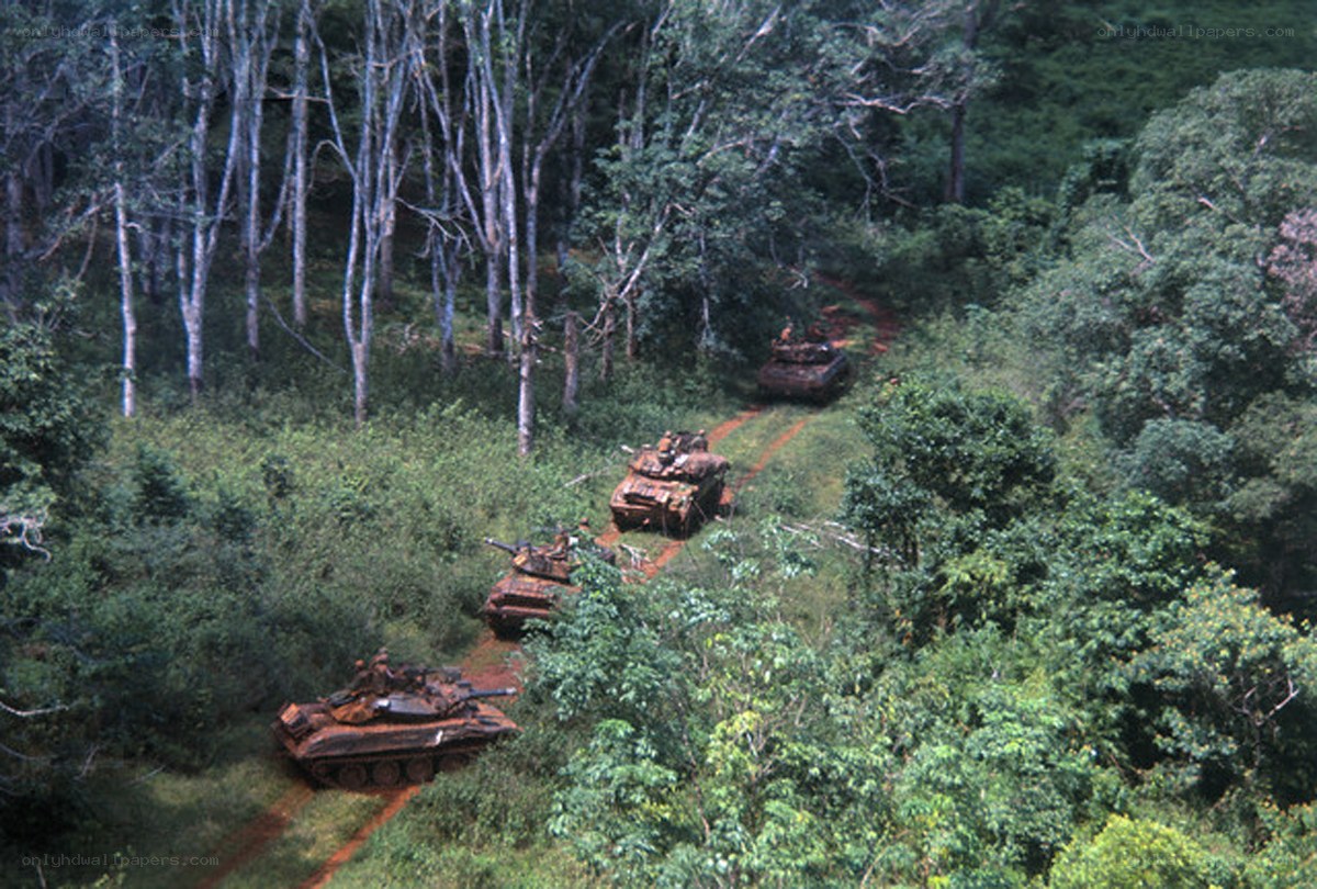 Tanks in jungle terrain