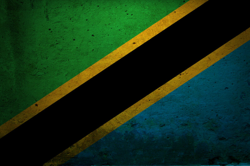 Tanzania flag on textured wall