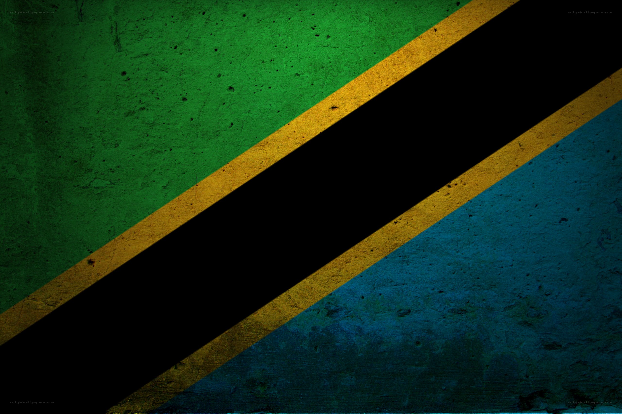 Tanzania flag on textured wall
