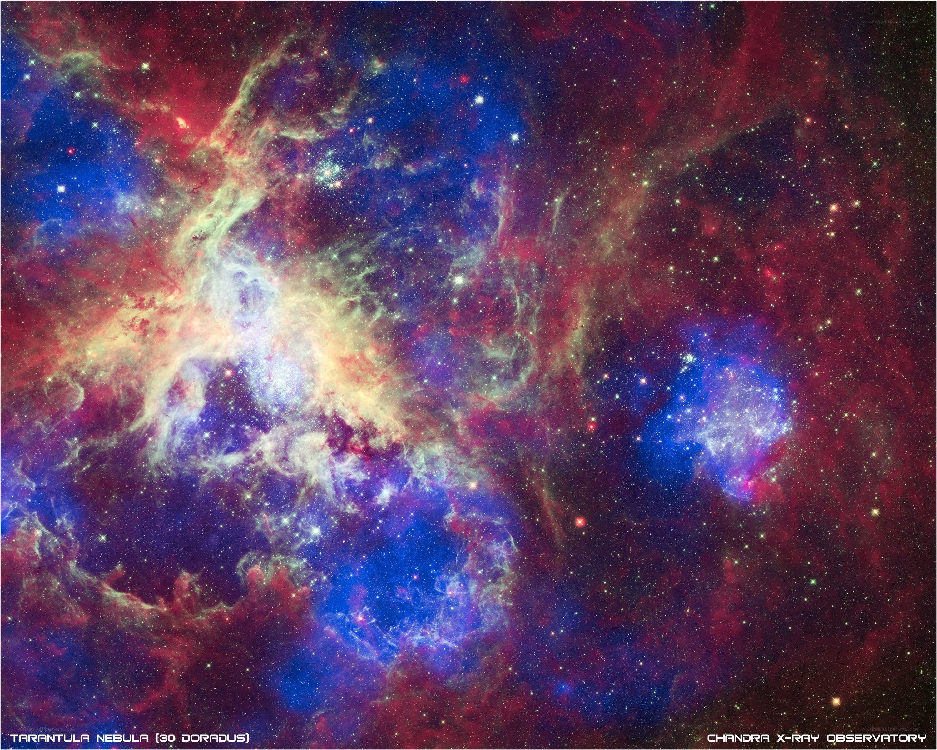 Tarantula Nebula in X-ray