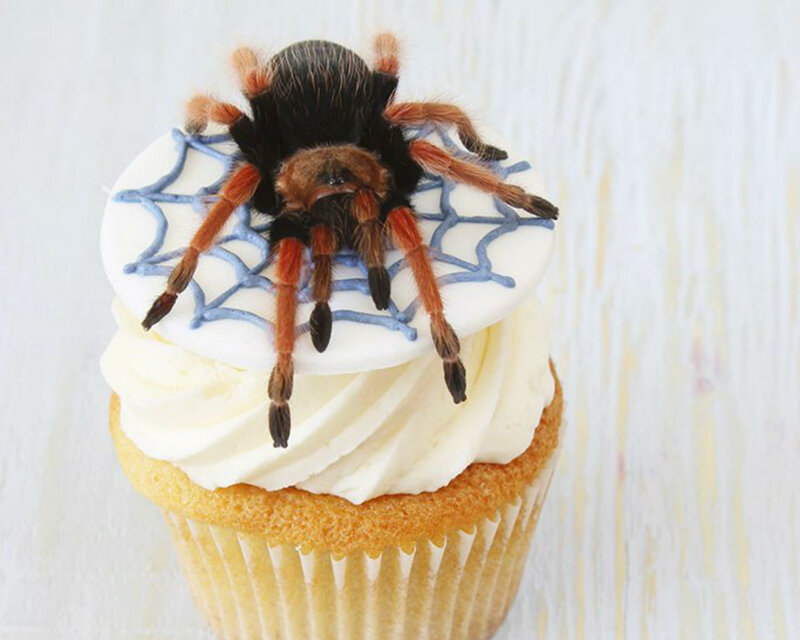 Tarantula on Cupcake