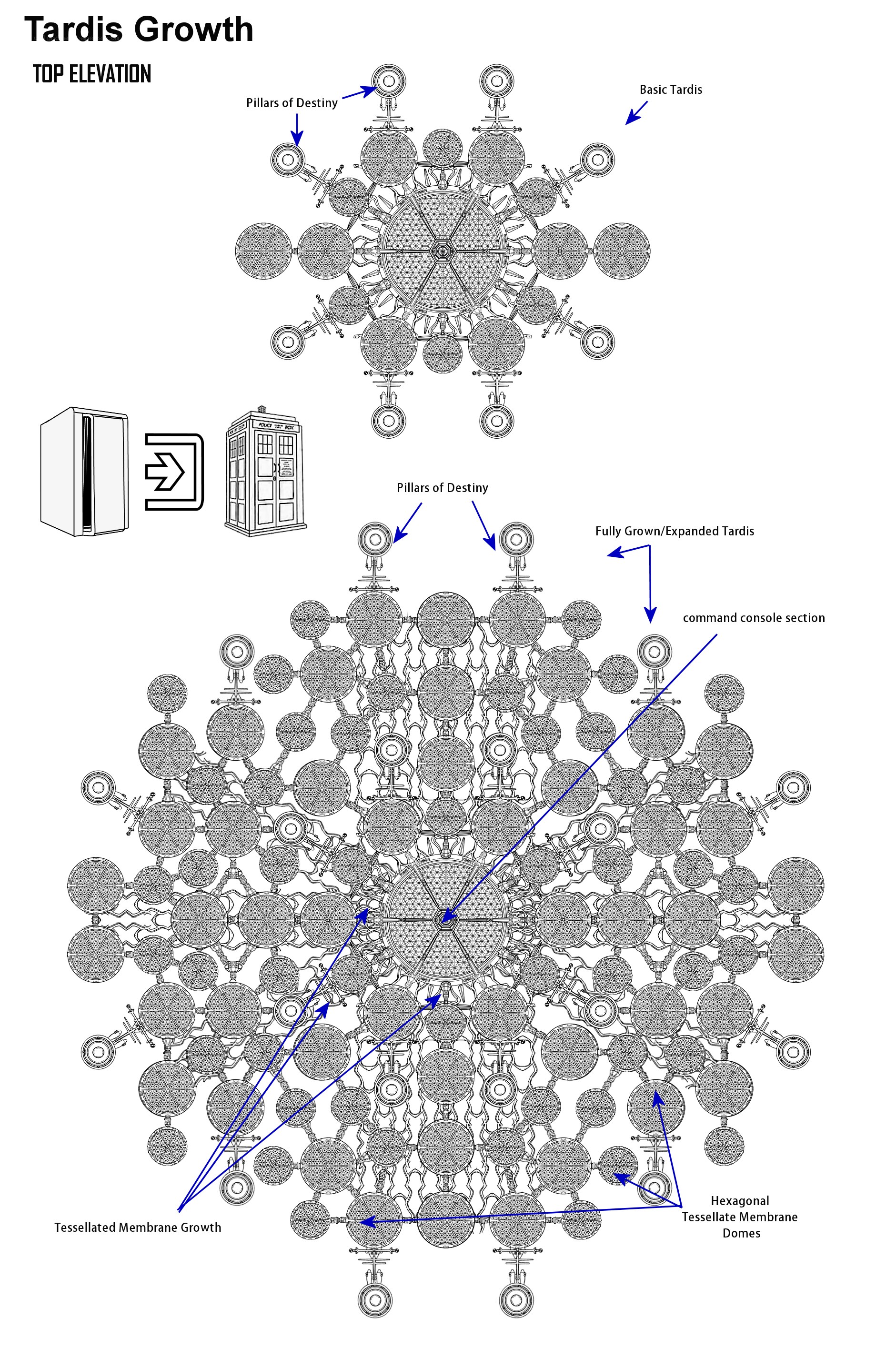 Tardis Growth Diagram