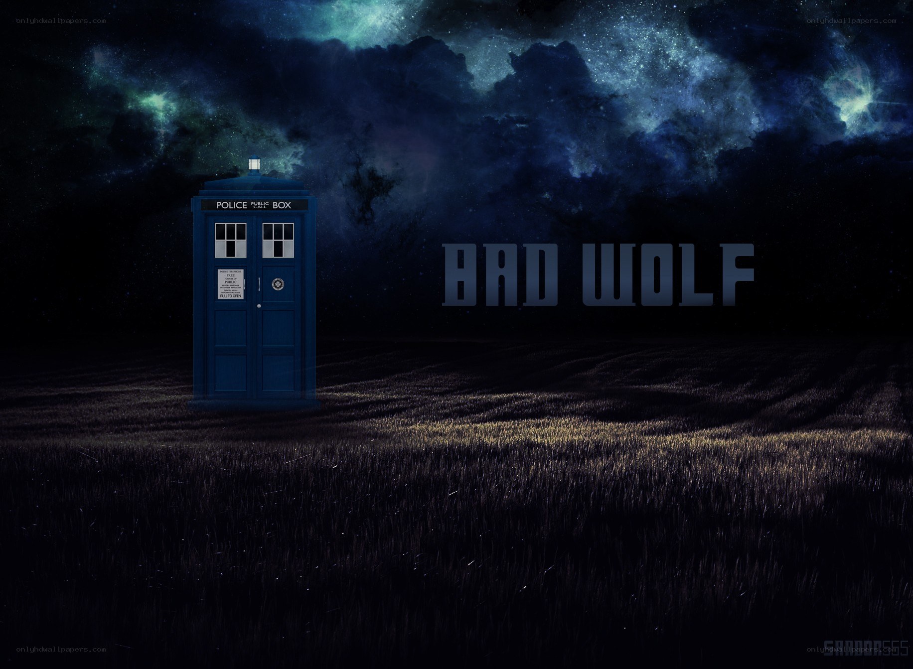 TARDIS in a field at night