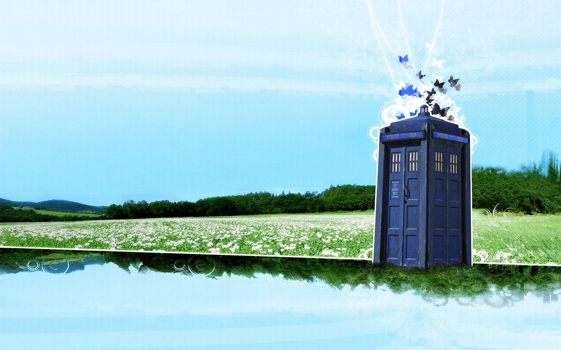 TARDIS in a flower field